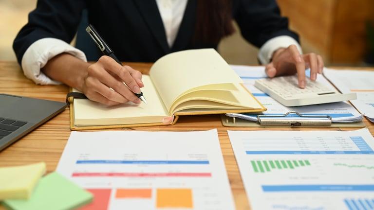Spreadsheet showing a detailed business budget for the coming year