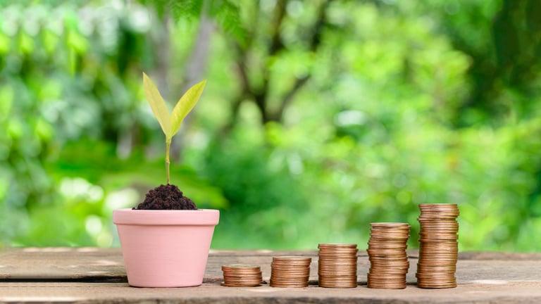 Employer preparing their re-declaration of compliance for workplace pension auto-enrolment