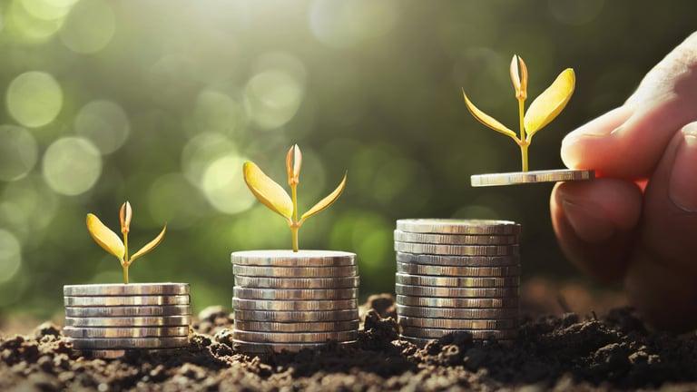 Digital VAT records being maintained through compliant accounting software